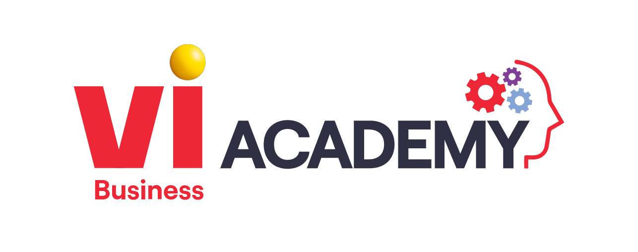 VI Business Academy